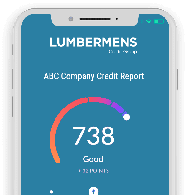 screenshot of Lumbermens Credit Risk Online